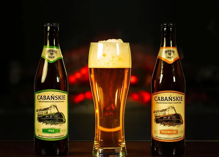 לינה וארוחת בוקר Park Chrzanów